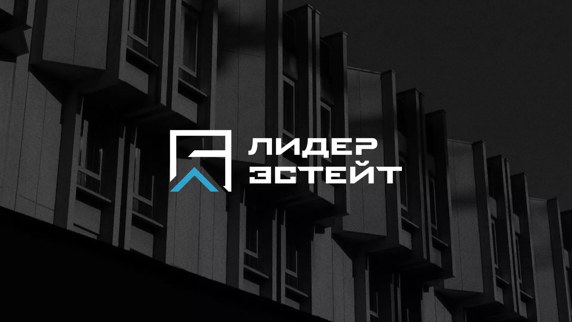 Разработка логотипа агентства недвижимости «Лидер Эстейт» в Мценске