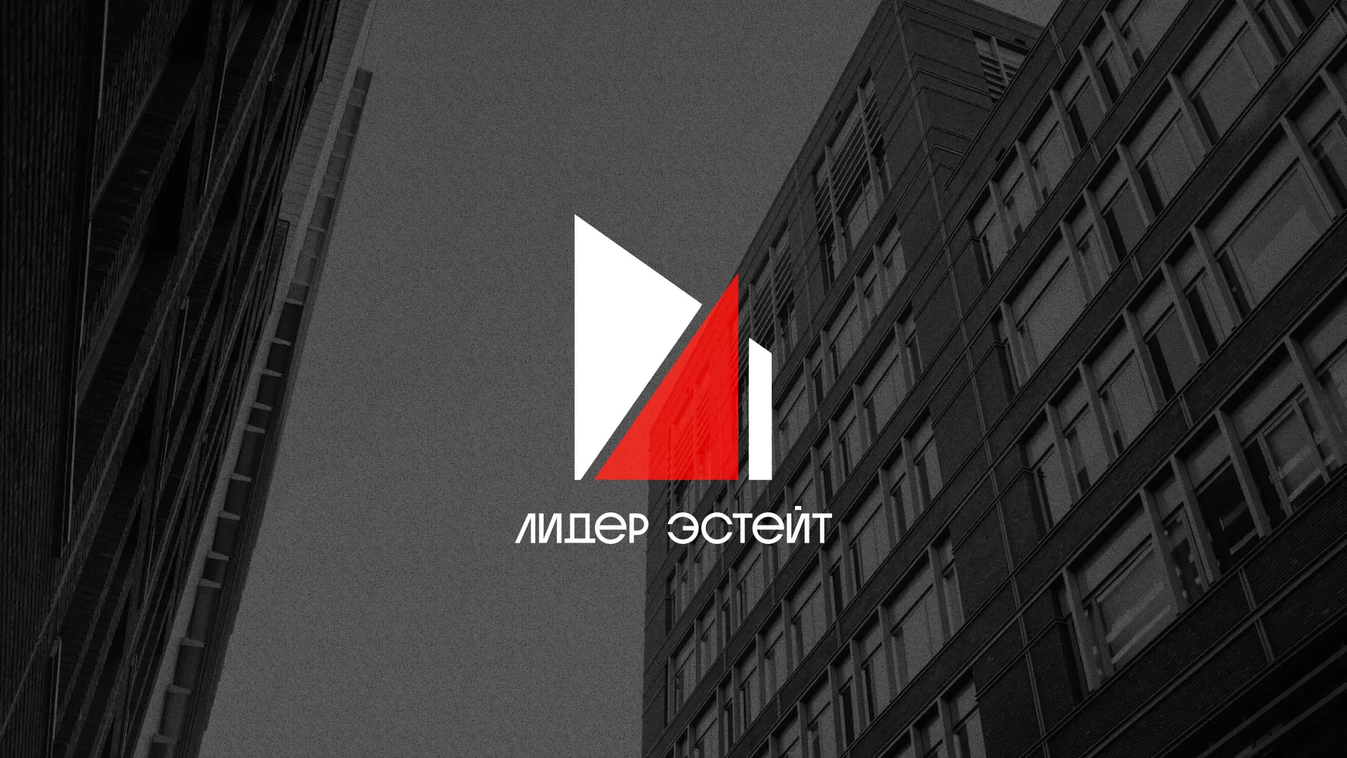 Сделали логотип для агентства недвижимости «Лидер Эстейт» в Мценске